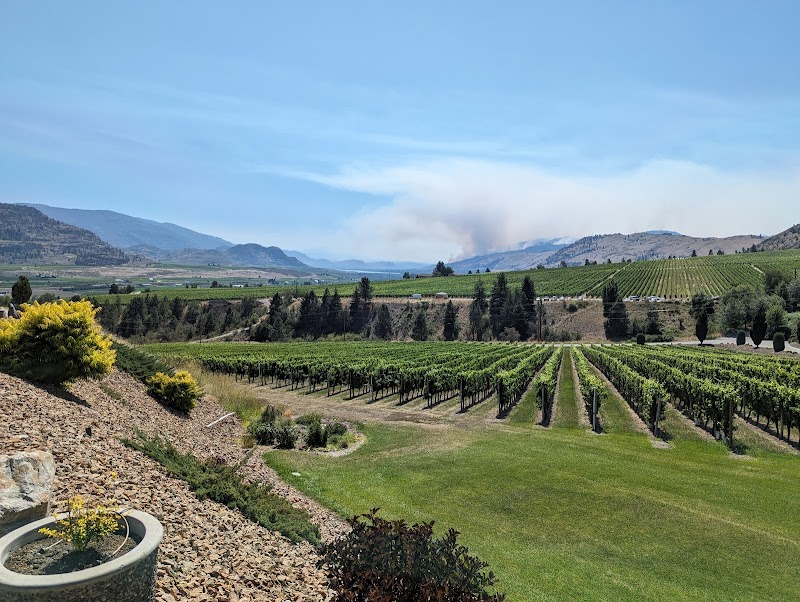 Gehringer Brothers Estate Winery 2