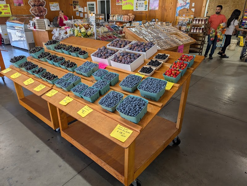 Gerry's Fruit and Veg 3