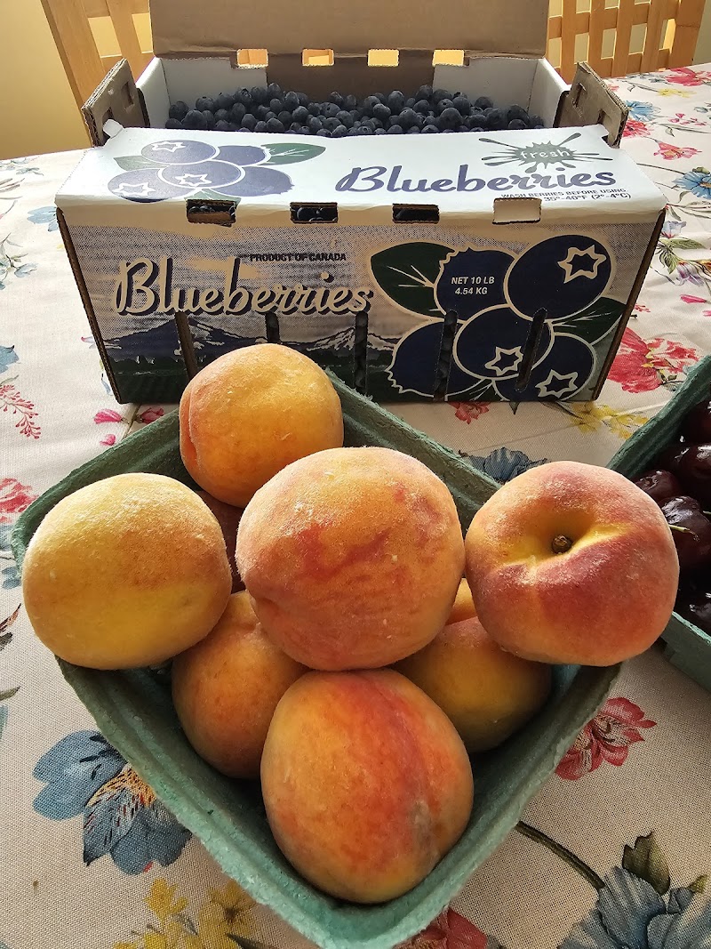 GL Farms Berry Stand 3