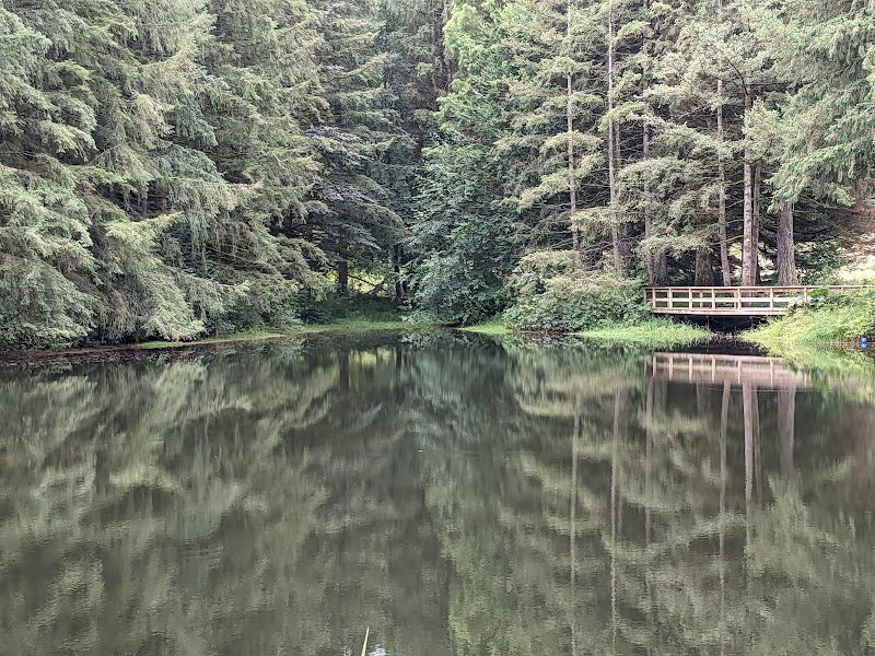 Godwin Farm Biodiversity Preserve Park 3