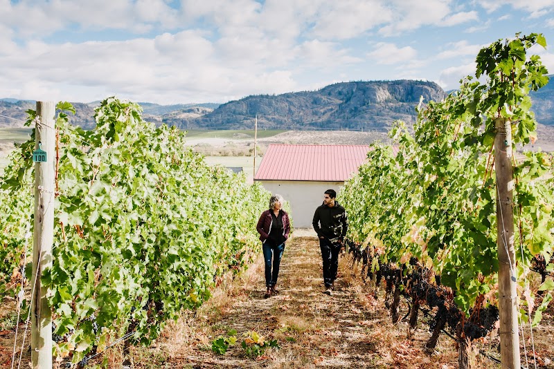 Gold Hill Winery