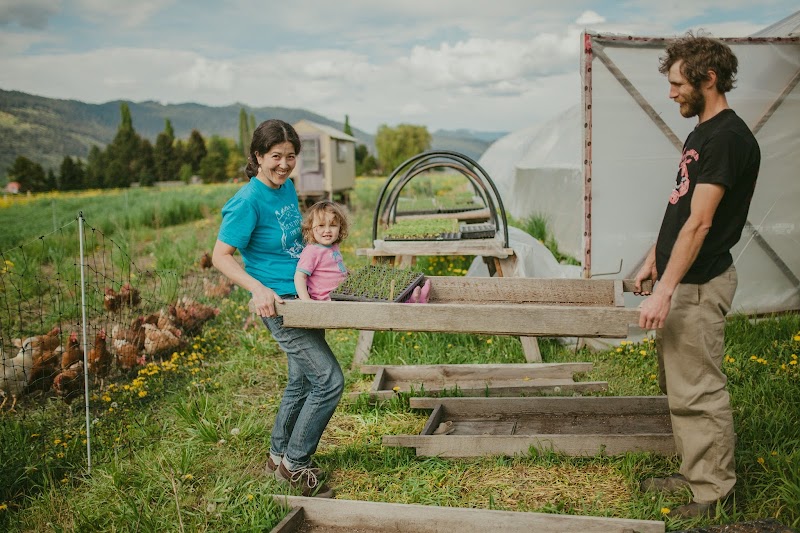 Golden Ears Farm