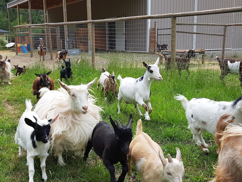 GottaGoat Farm