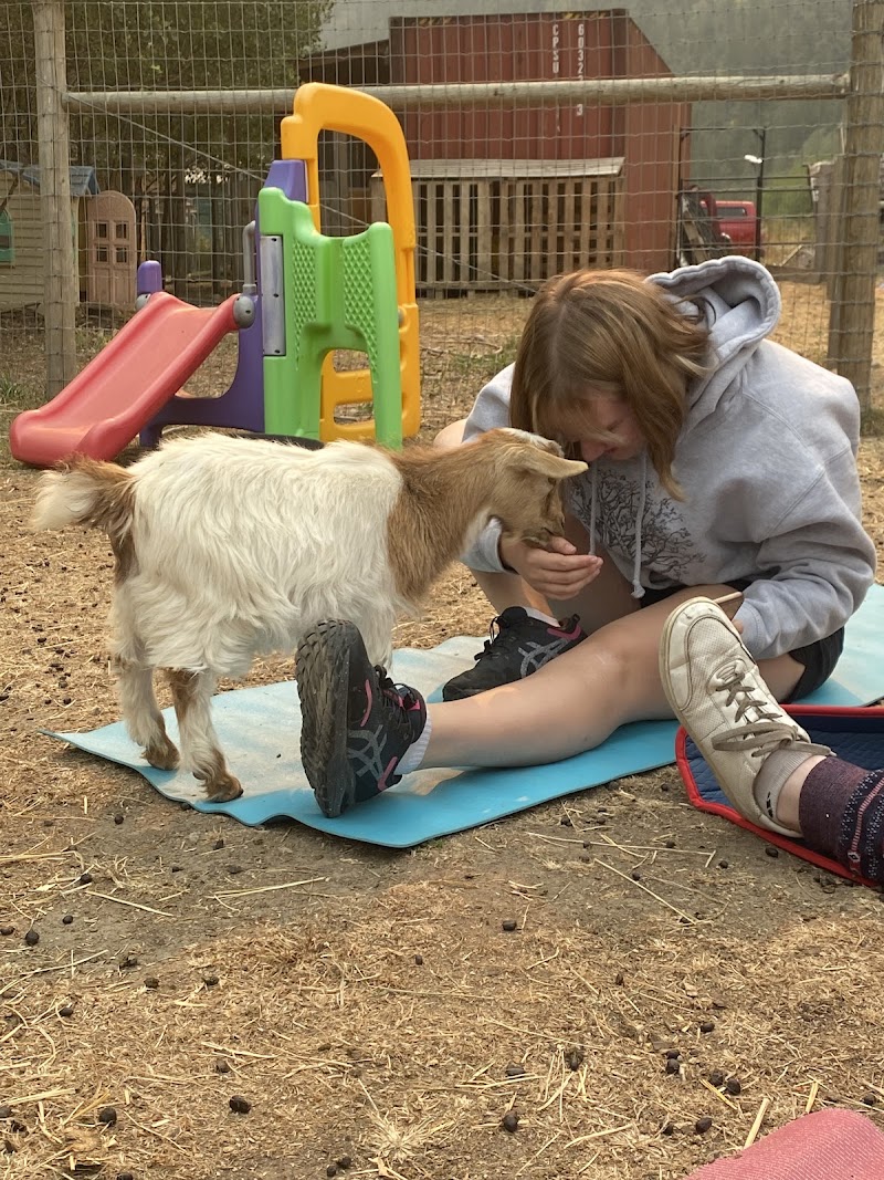 GottaGoat Farm 3