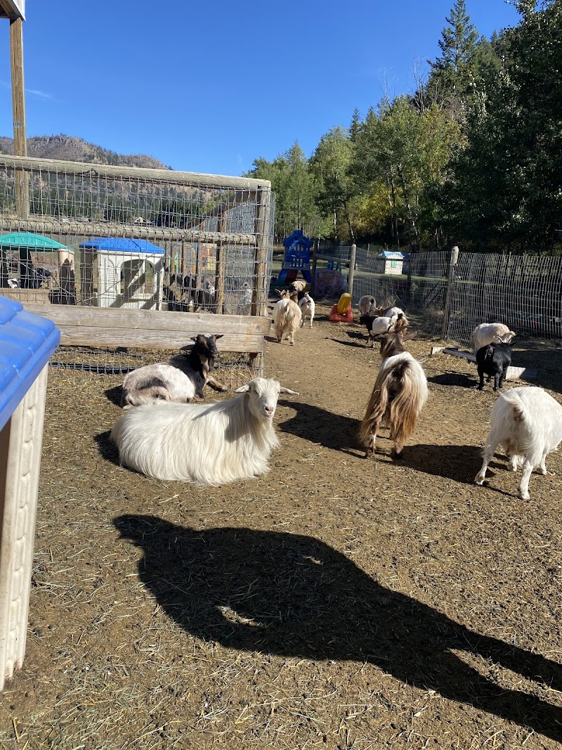 GottaGoat Farm 5