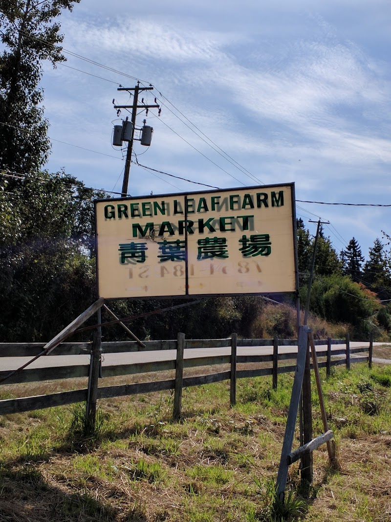 Green Leaf Farm Ltd 3