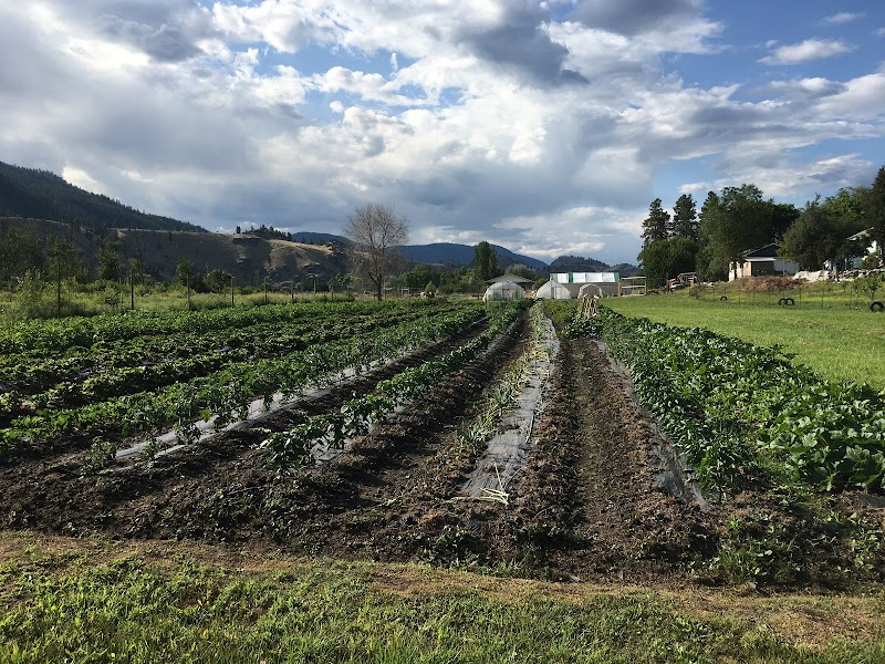 H and L Farm 2