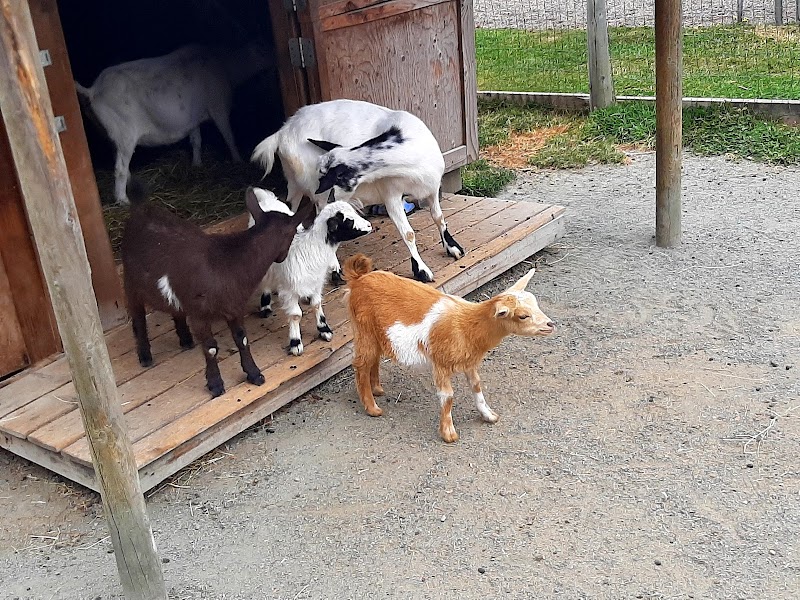 Hamilton Farms 3