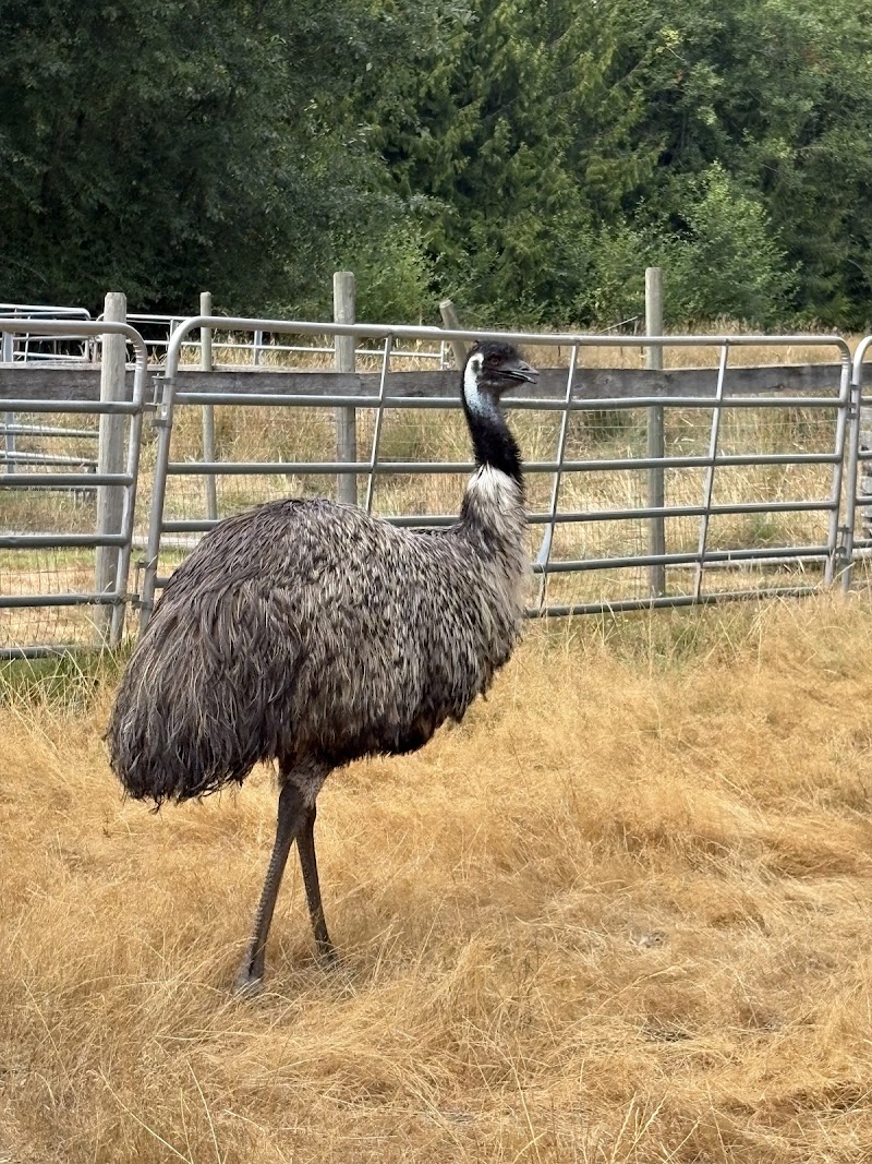 Hamilton Farms 5