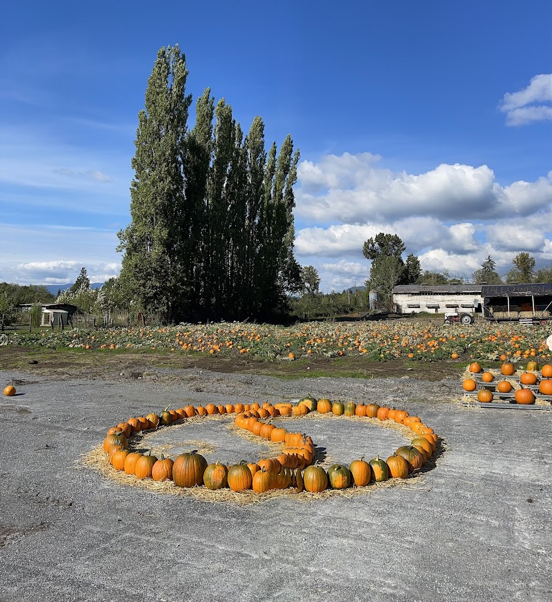 Haney Fresh Farm & Pumpkin Patch 2