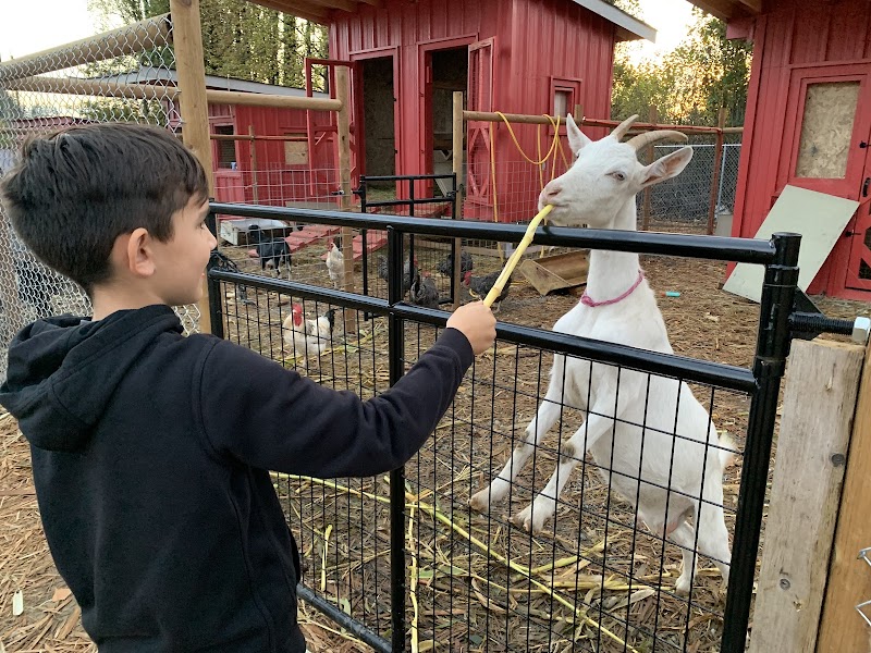 Haney Fresh Farm & Pumpkin Patch 3