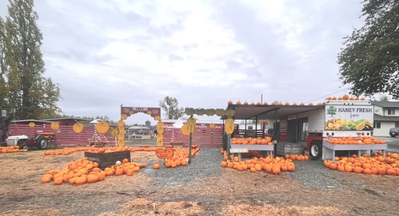 Haney Fresh Farm & Pumpkin Patch 4