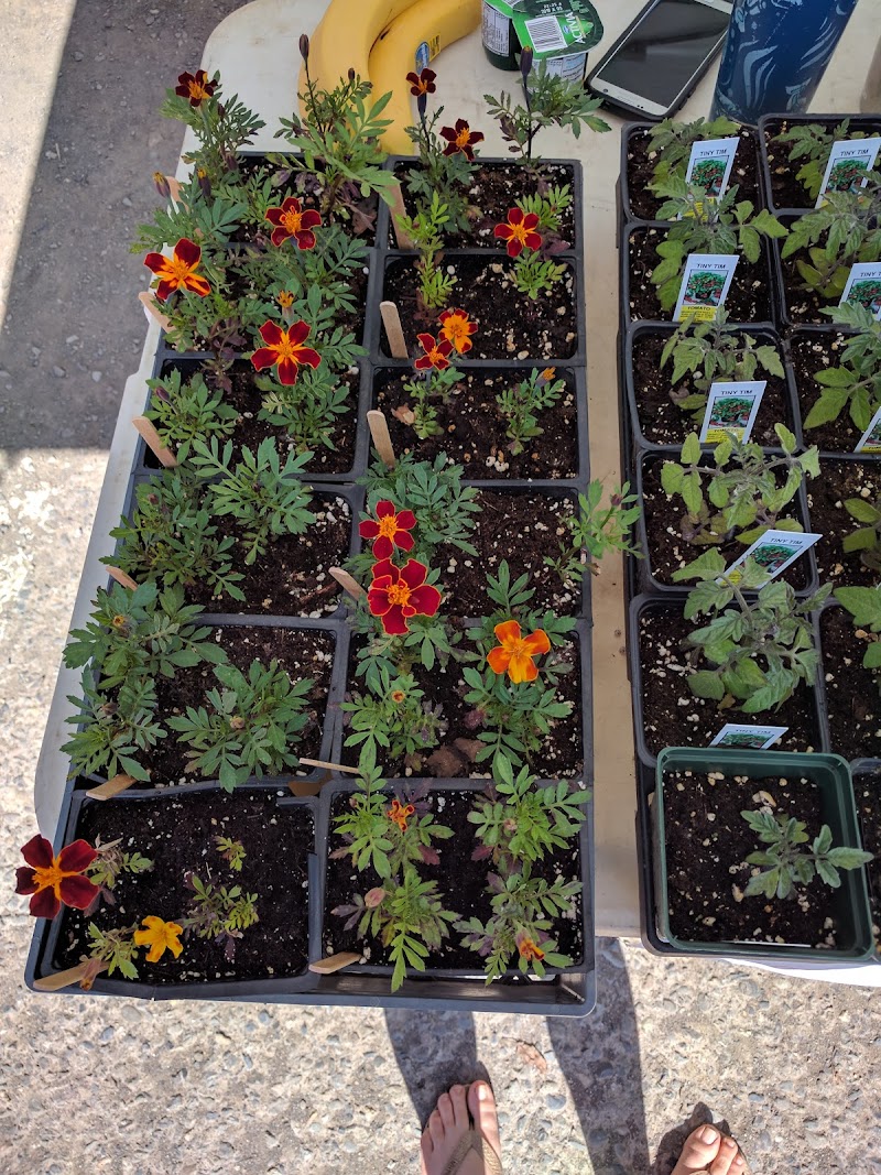 Hazelton Farmers’ Market 4