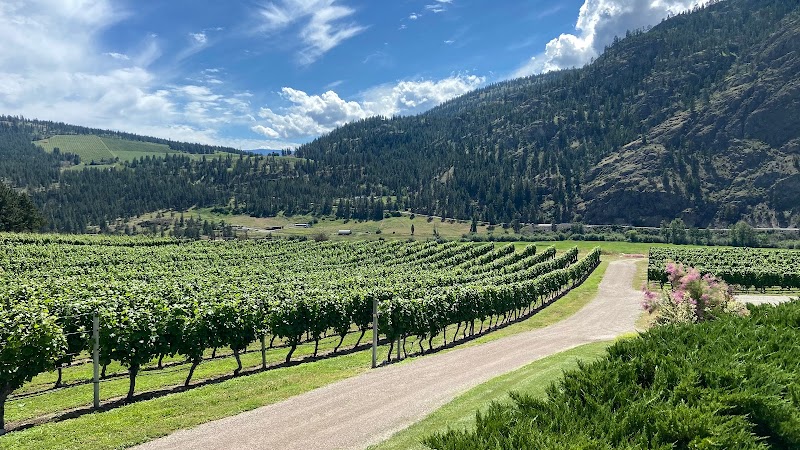 Heidi's Peak Estate Vineyard Limited