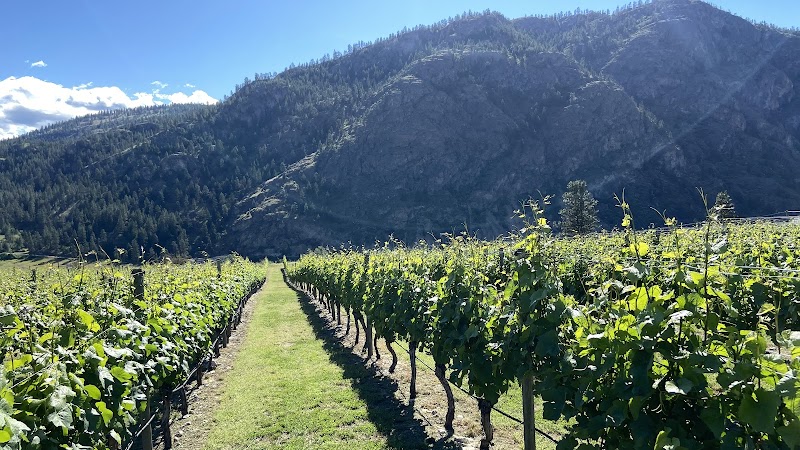 Heidi's Peak Estate Vineyard Limited 2