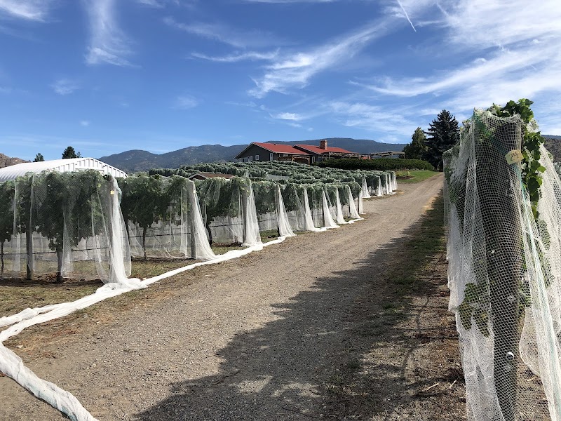 Heidi's Peak Estate Vineyard Limited 4