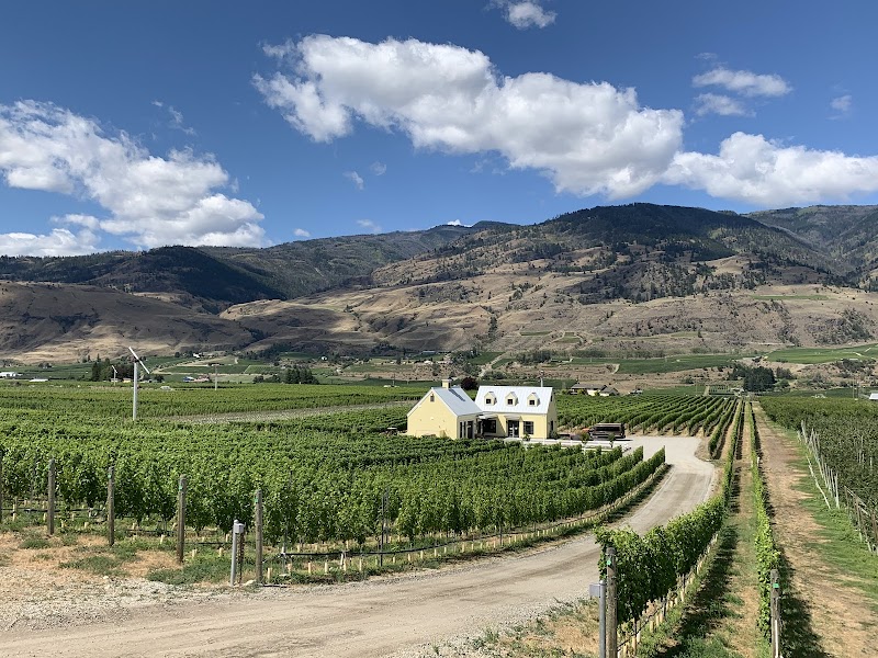Here's the Thing Vineyards 4
