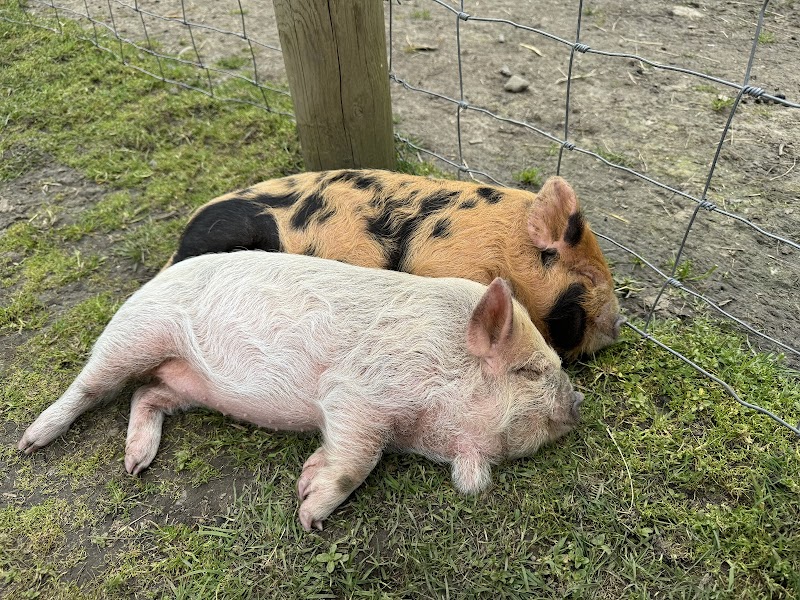 Hillpoint Estate Farm Stand 2