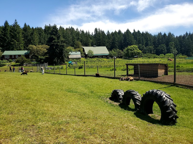 Hillpoint Estate Farm Stand 4