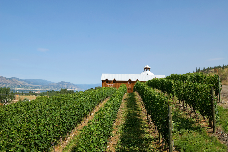 Hillside Winery 1