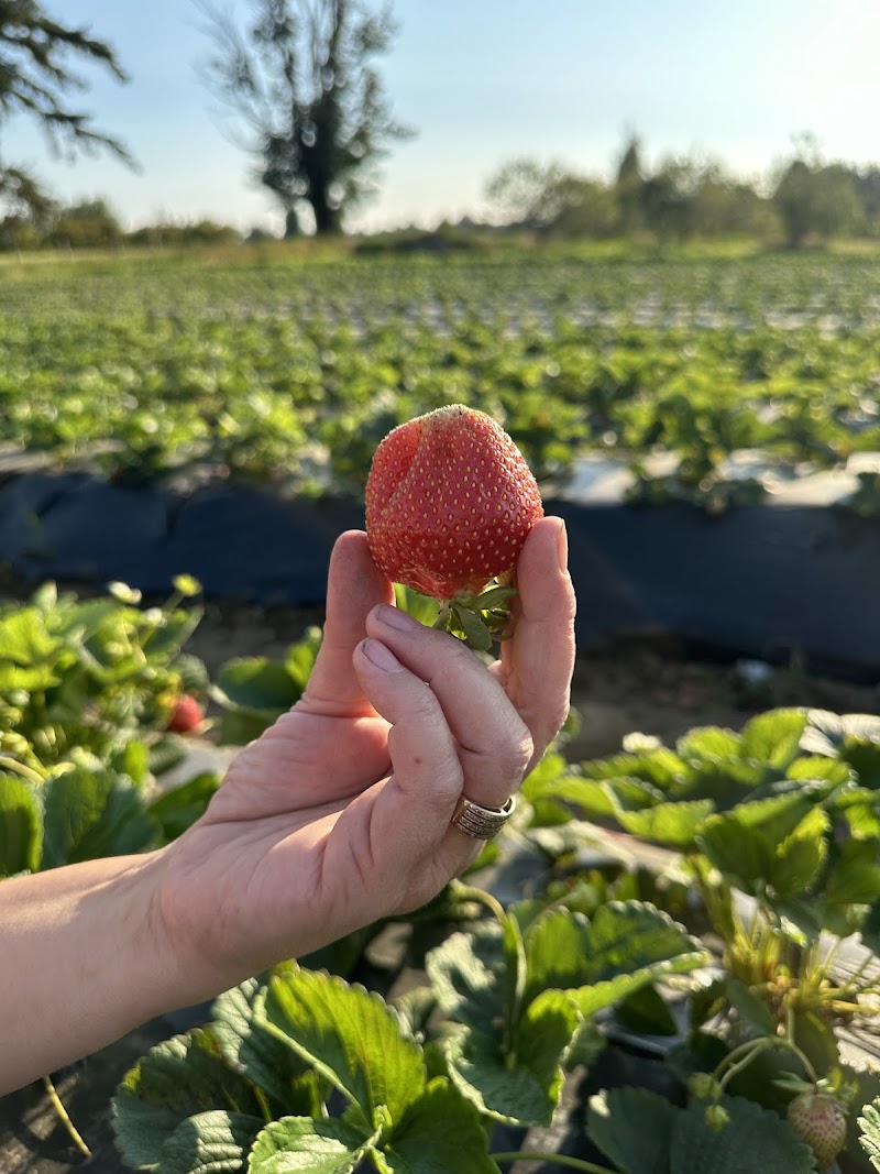 Hiwa Farm