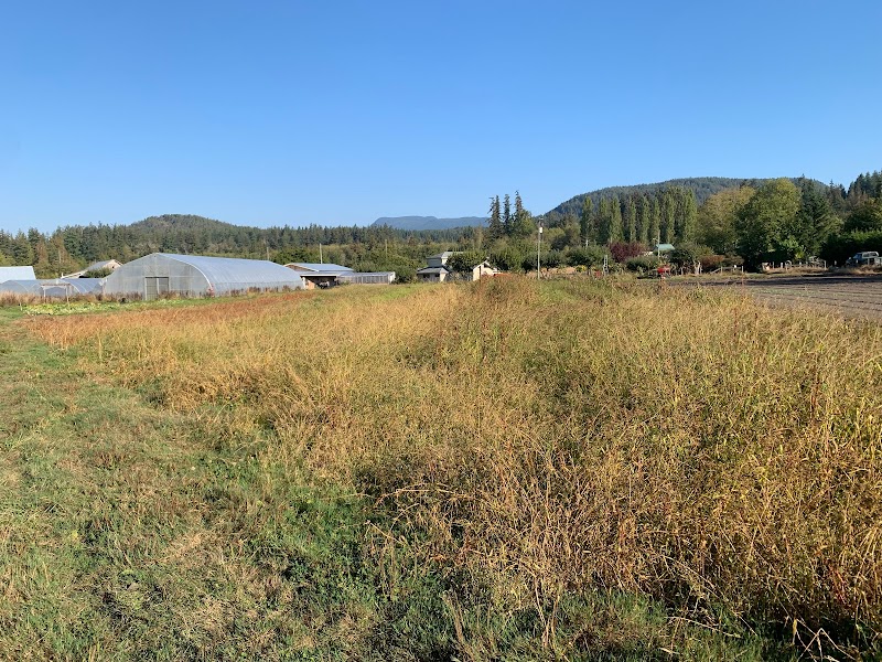 Home Farm