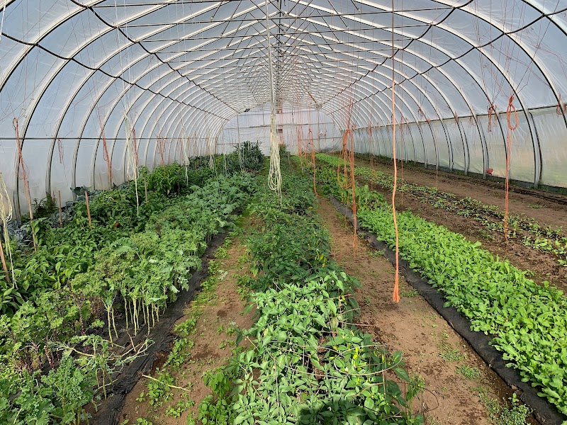 Home Farm 2