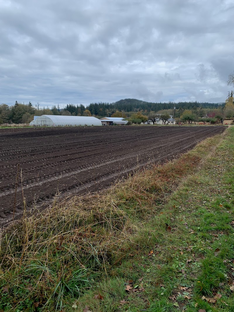 Home Farm 3