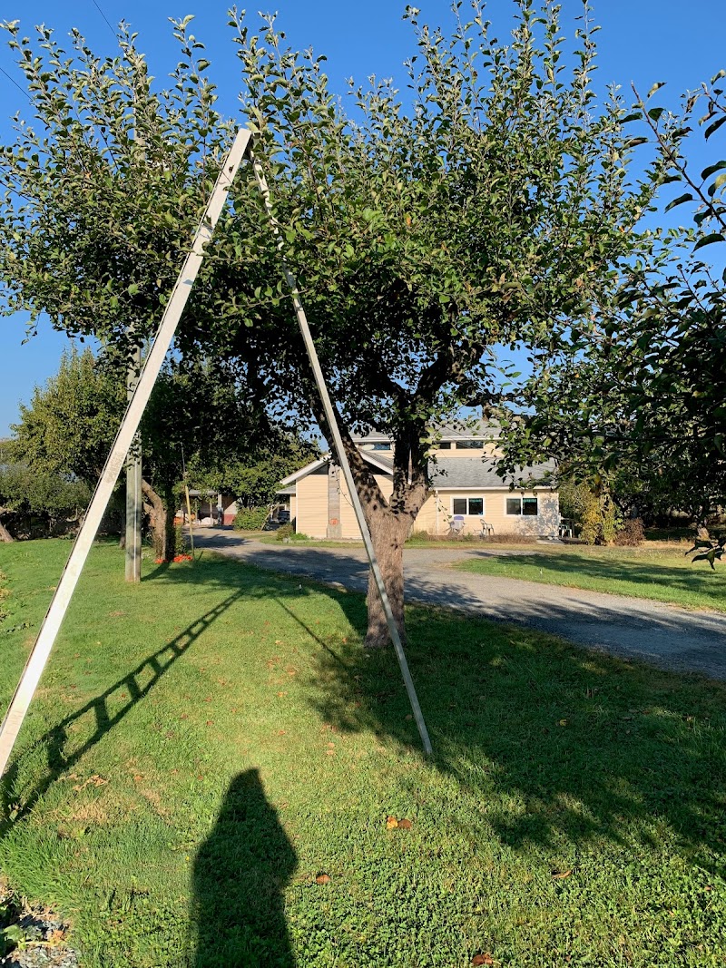 Home Farm 4