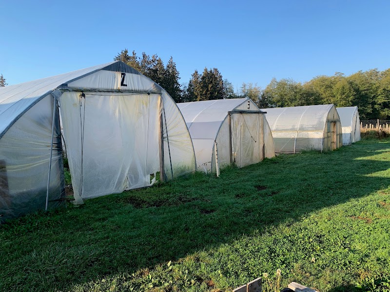 Home Farm 5
