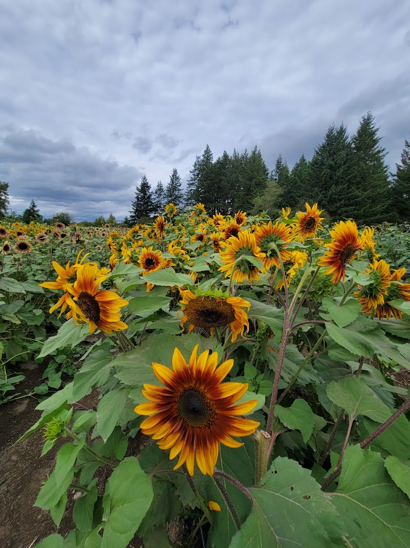 Home Farm UPick and Events LLC 3