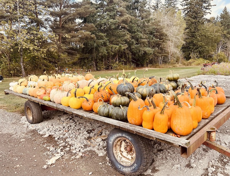 Home Farm UPick and Events LLC 5