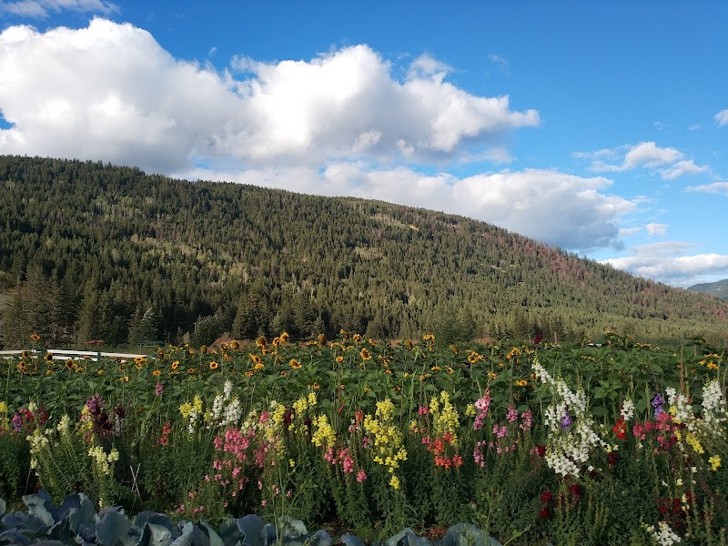 Honeyberry Farm Market