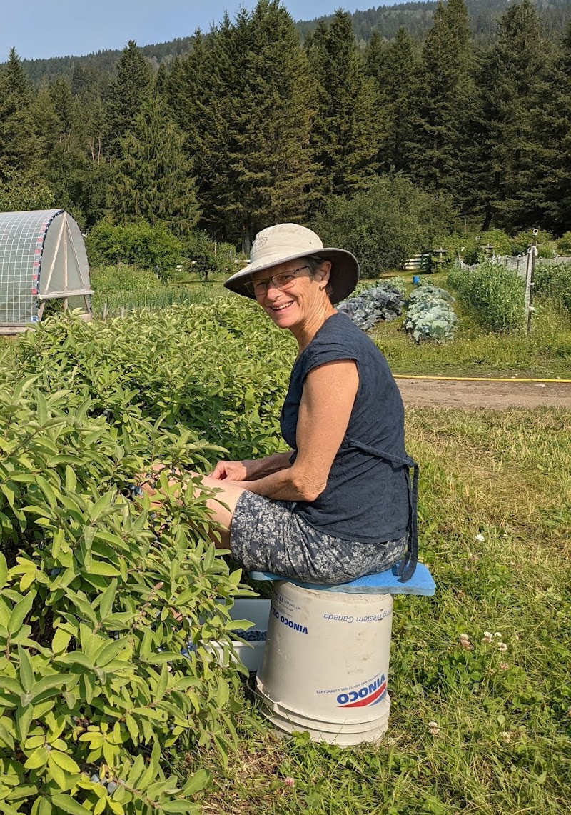 Honeyberry Farm Market 4