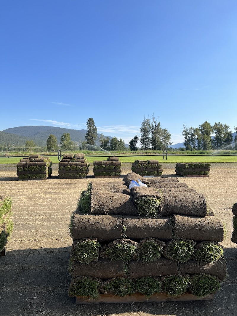 Interior Turf Farm 5