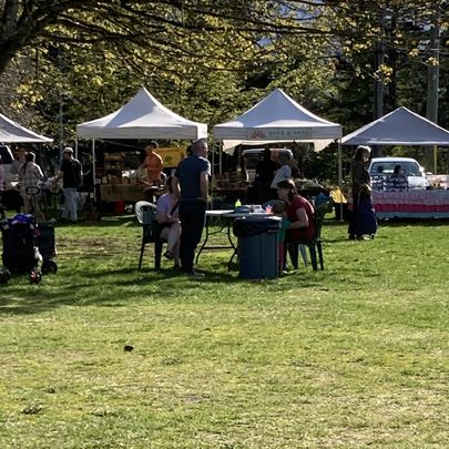 Island Roots Farmers' Market 3