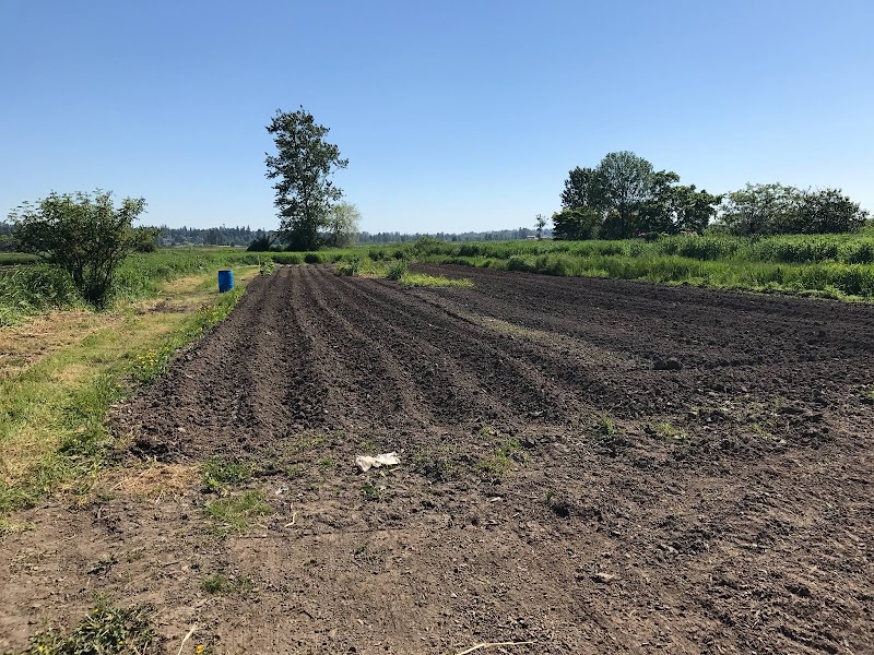 Japonica Environment Farm Ltd