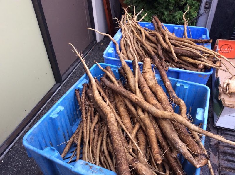Japonica Environment Farm Ltd 2