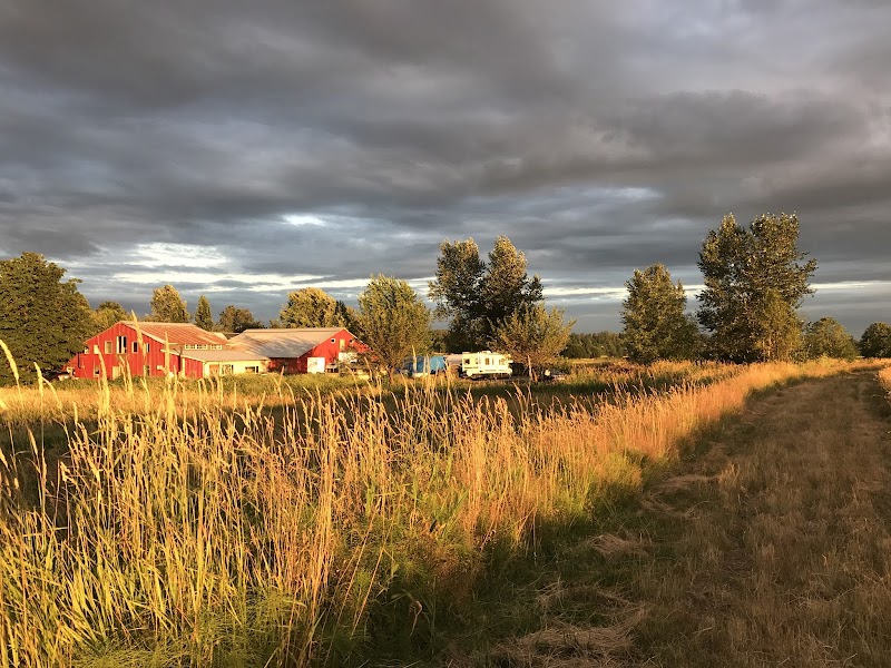 Japonica Environment Farm Ltd 4