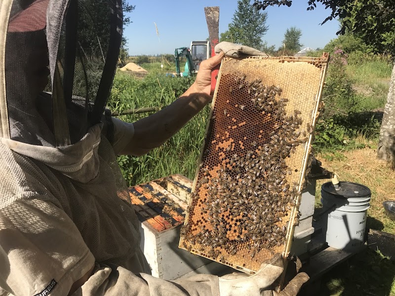 Japonica Environment Farm Ltd 5