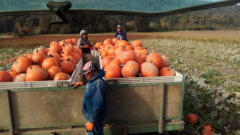 Jit Bains Farms Inc. 2