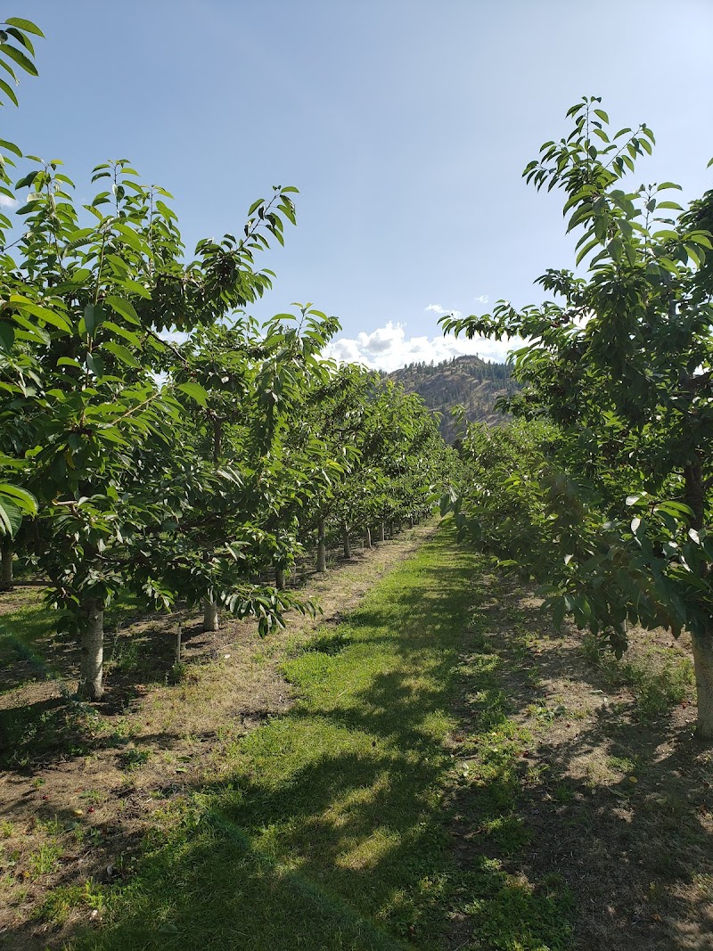 K & P Farm and Fruitstand