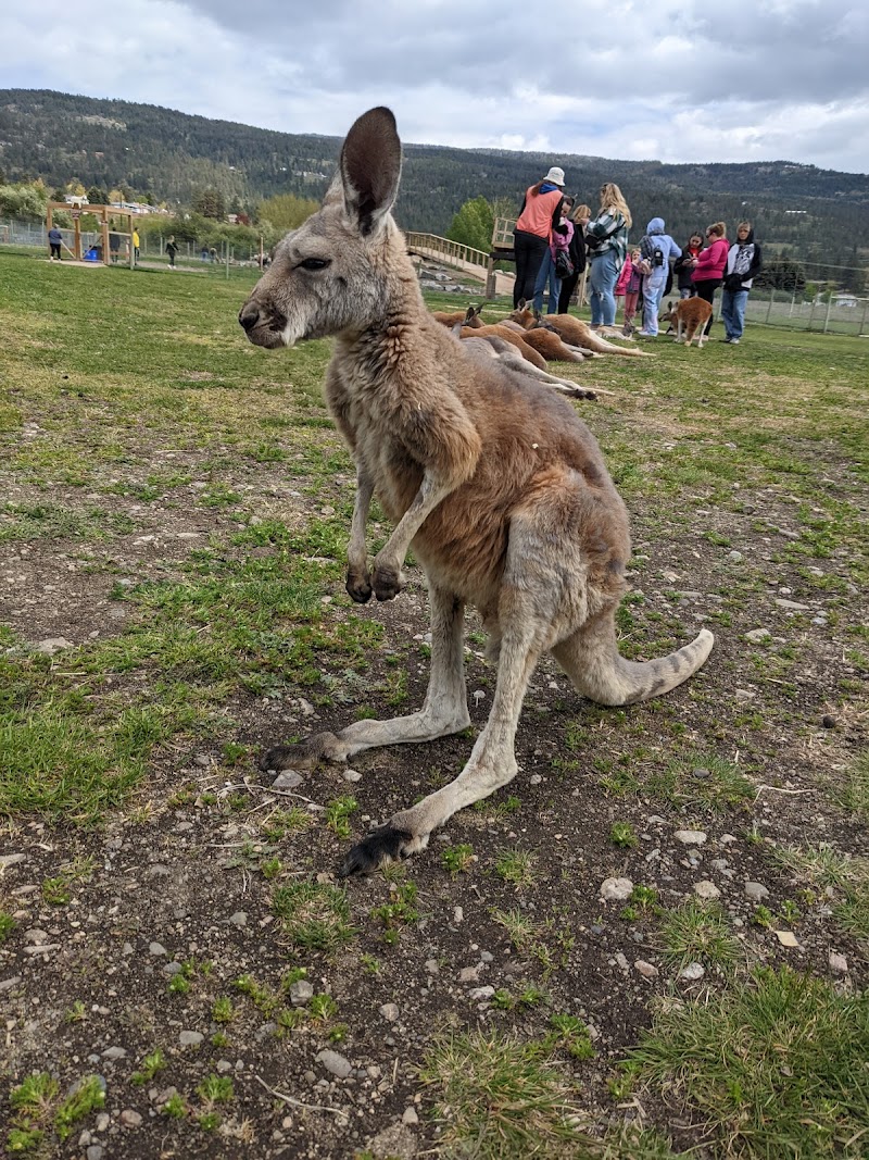 Kangaroo Creek Farm 2