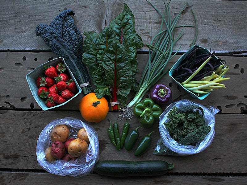 Kehler Vegetable Company 2