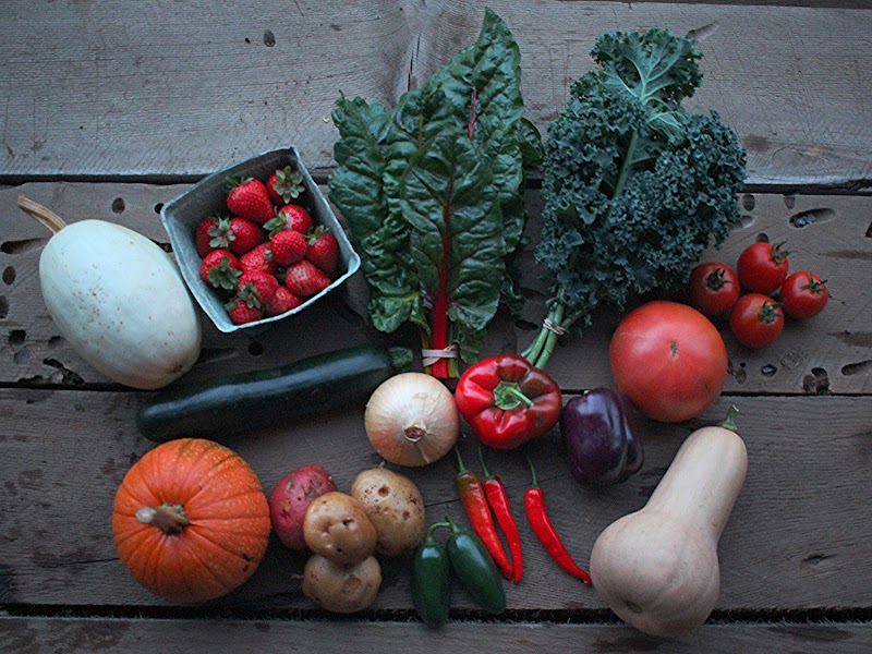 Kehler Vegetable Company 3