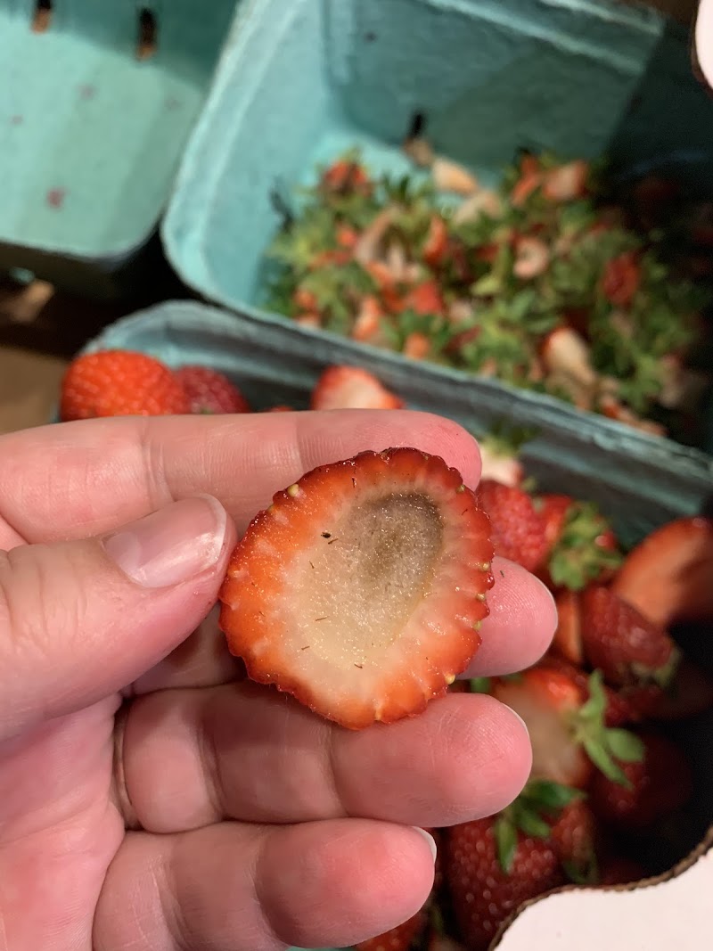 Keith Wilson Fruit Stand 2