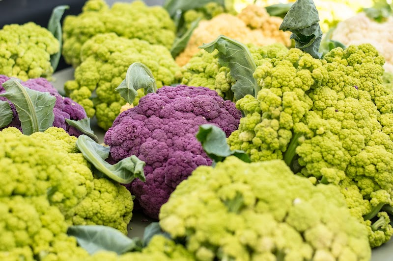 Kitsilano Farmers Market 2