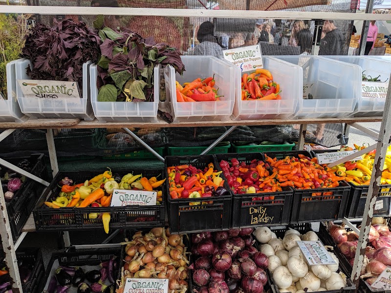 Kitsilano Farmers Market 3