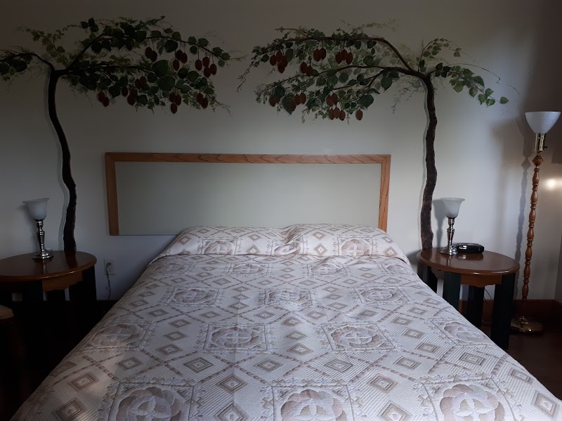 Kiwi Cove Lodge 2