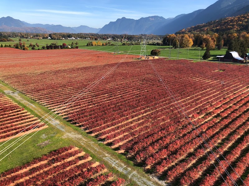 Klaassen Farms 4